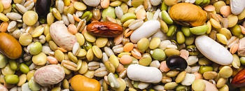 Crédito: Divulgação