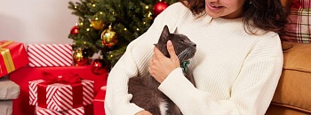 (Foto: Divulgação/ROYAL CANIN®)