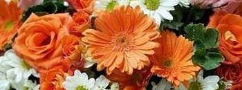      Uma imensa diversidade de flores deve atender todos os gostos e bolsos - Divulgação