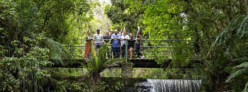 Trilhas ecológicas e contato direto com a natureza no Destino Miringuava_divulgacao