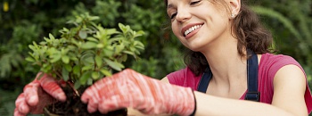 Foto ilustrativa/Freepik