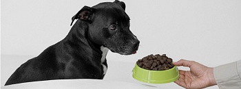 Crédito: Divulgação