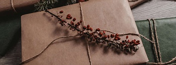 Divulgação - Pexels