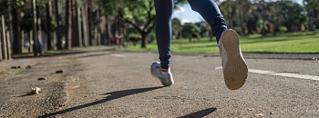 FOTO: Pixabay e Edinho Irizawa