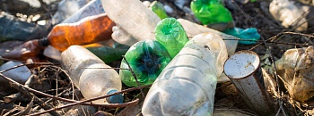 Crédito: Divulgação