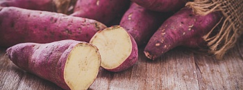 Crédito: Divulgação