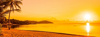 Praia limpa - Reprodução