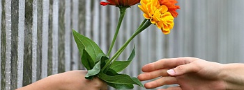 Crédito: Divulgação