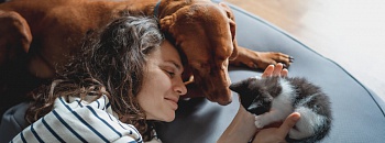 Divulgação: Zoetis