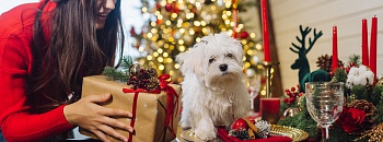 Imagem de teksomolika no Freepik