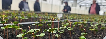       Divulgação - Epson