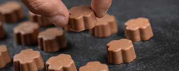 Crédito: Divulgação 