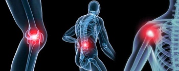 Crédito: Divulgação