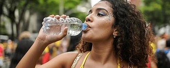 Créditos: Shutterstock