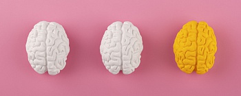 Foto: Reprodução / Freepik