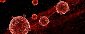 Foto: Reprodução / Freepik