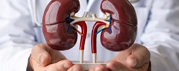  Segundo Ministério da Saúde, cerca de 10% da população brasileira tem diagnóstico de doença renal - Divulgação