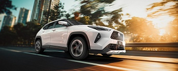     Divulgação Grupo T-Line