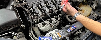 Crédito: Divulgação