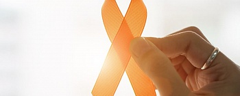 Crédito: Divulgação 