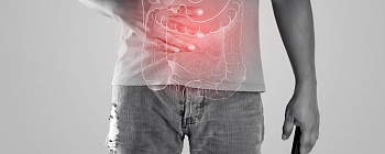 Crédito: Adobe Stock