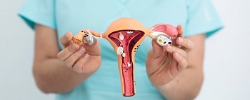 Crédito: Divulgação 