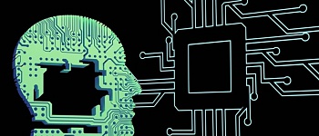 Foto Divulgação (Unsplash)