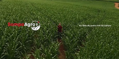 Crédito: Divulgação