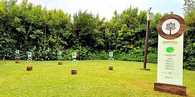 Crédito: Divulgação