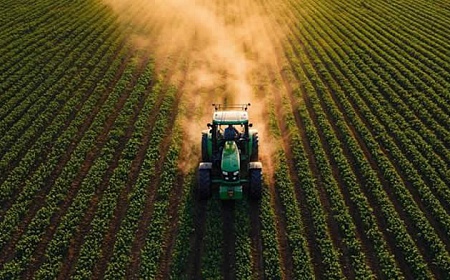 Crédito: Divulgação