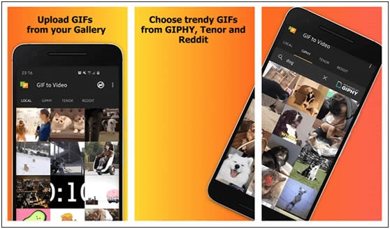 8 Conversores Úteis de GIF em Vídeo para Computador ou Celular