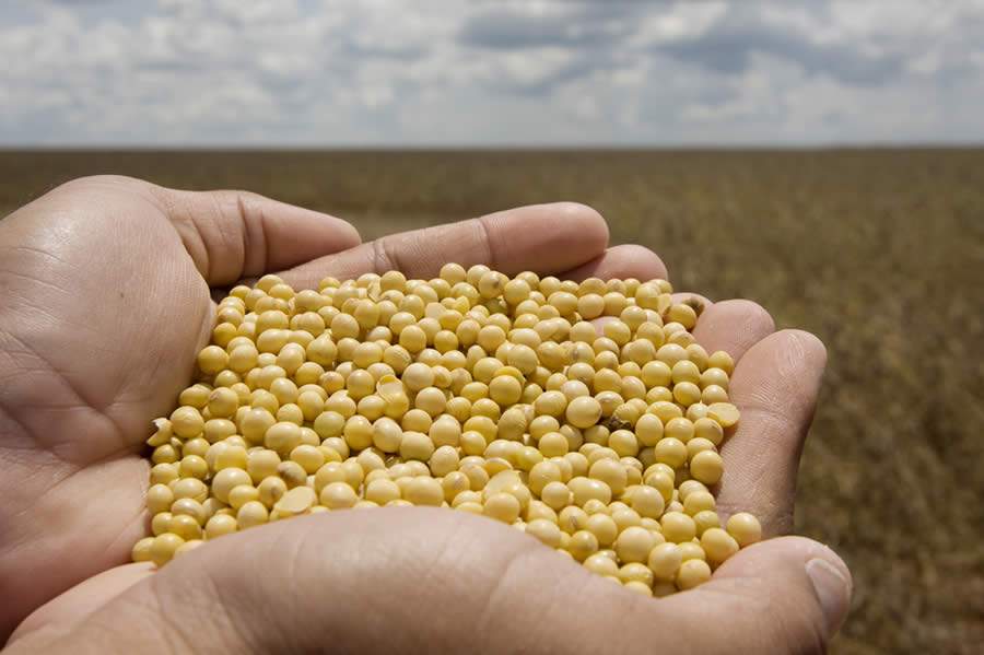 FMC debate futuro da cultura da soja na Expodireto Cotrijal