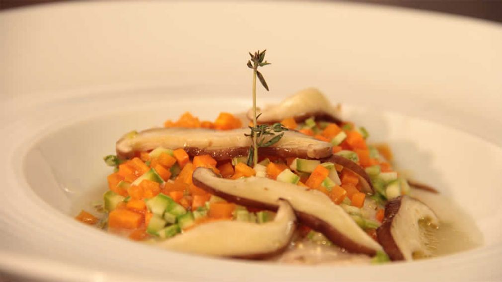 Palpillote de Til&aacute;pia