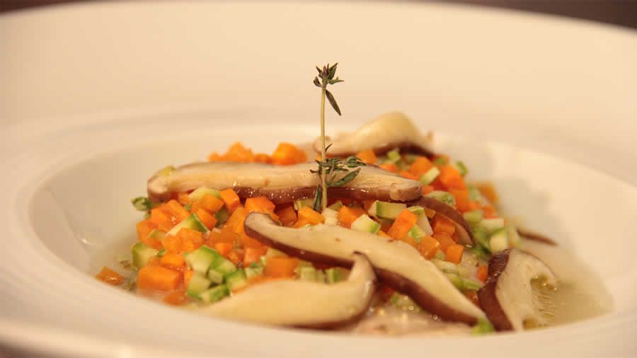 Palpillote de Tilápia