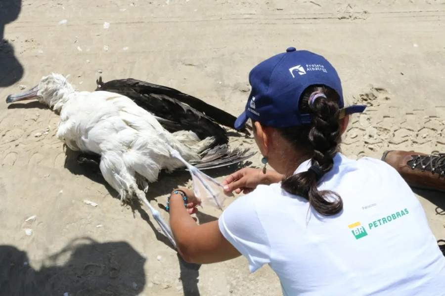 Crédito: Divulgação