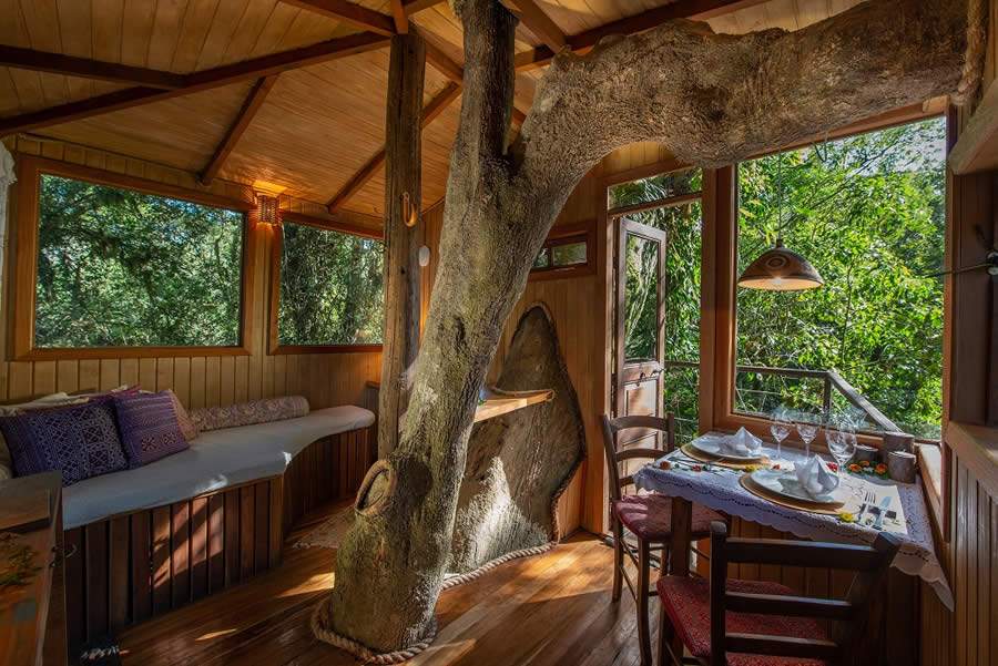 Casa da Árvore na Pousada do Engenho- Celebração a dois - Divulgação