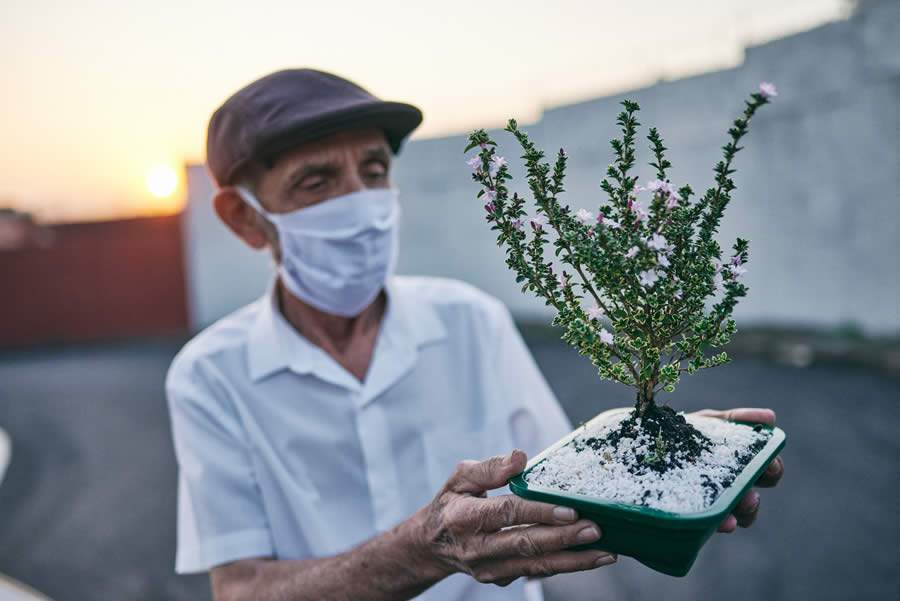 As flores e plantas ornamentais são capazes de amolecer até os pais mais &quot;durões&quot; - Divulgação / Cooperativa Veiling
