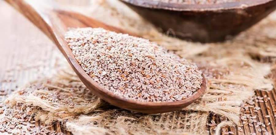 psyllium - reproducao free pik