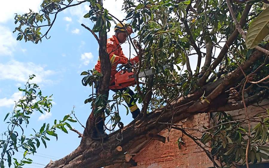 Diante de situações emergenciais no lar, serviços de reparação tornam-se essenciais. - Divulgação | Europ Assistance