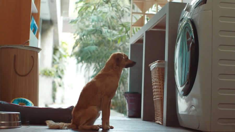 Com nova assinatura, Electrolux retrata as realidades de uma Casa Bem Vivida