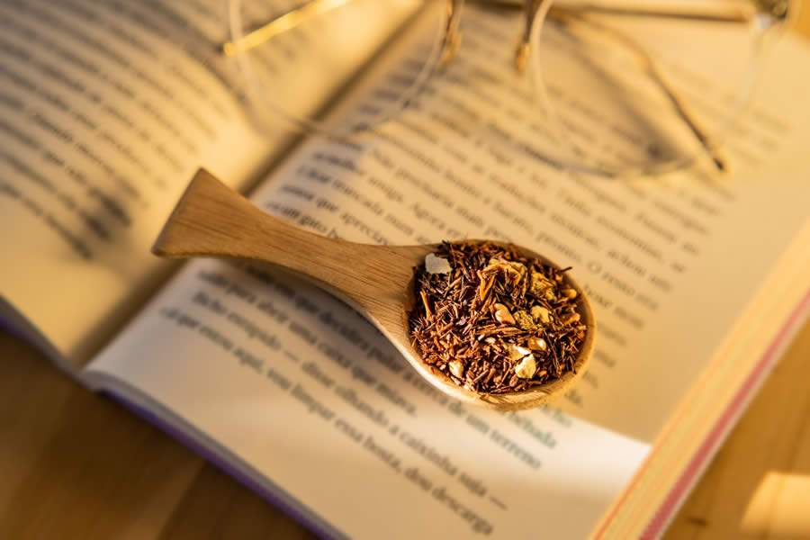 Cr&eacute;dito das fotos: Est&uacute;dio Pegorer