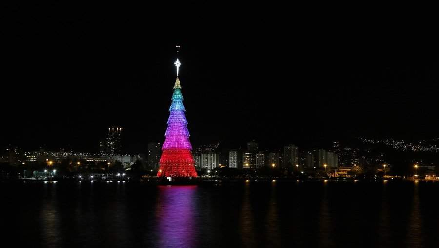 Rio de Janeiro anuncia maior árvore flutuante do mundo sobre Lagoa Rodrigo de Freitas