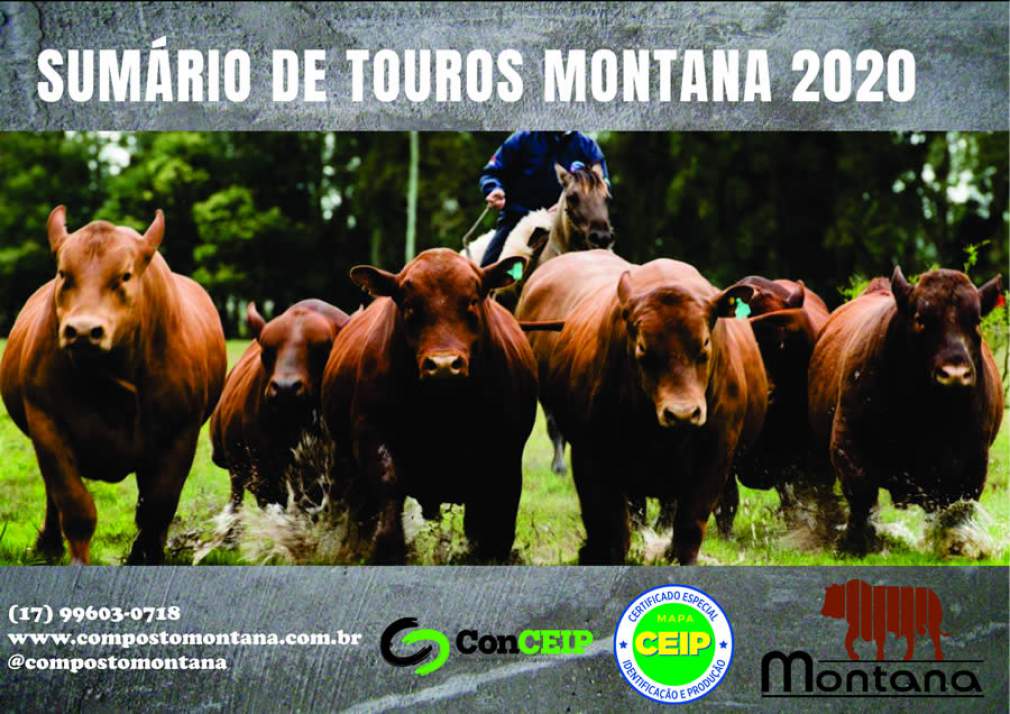 Sumário de Touros Montana 2020 contém dados de 179 reprodutores