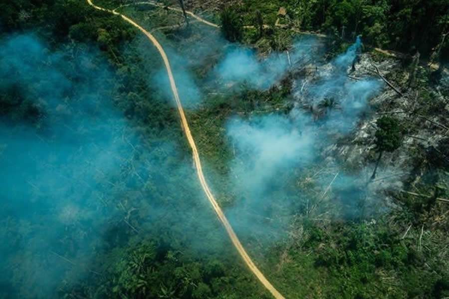 Foto: Fábio Nascimento / Greenpeace. Ituna - Sobrevoo pela Amazônia 2019 no estado do Pará