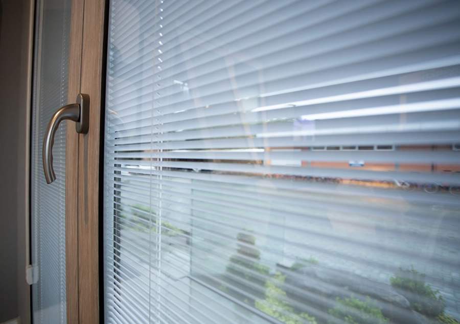 Foto: Marketing Weiku do Brasil