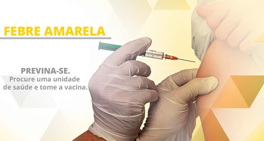Febre amarela: população do Sul e Sudeste deve buscar vacina