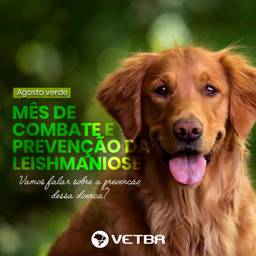 Mês de prevenção e combate à leishmaniose visceral canina (LVC)