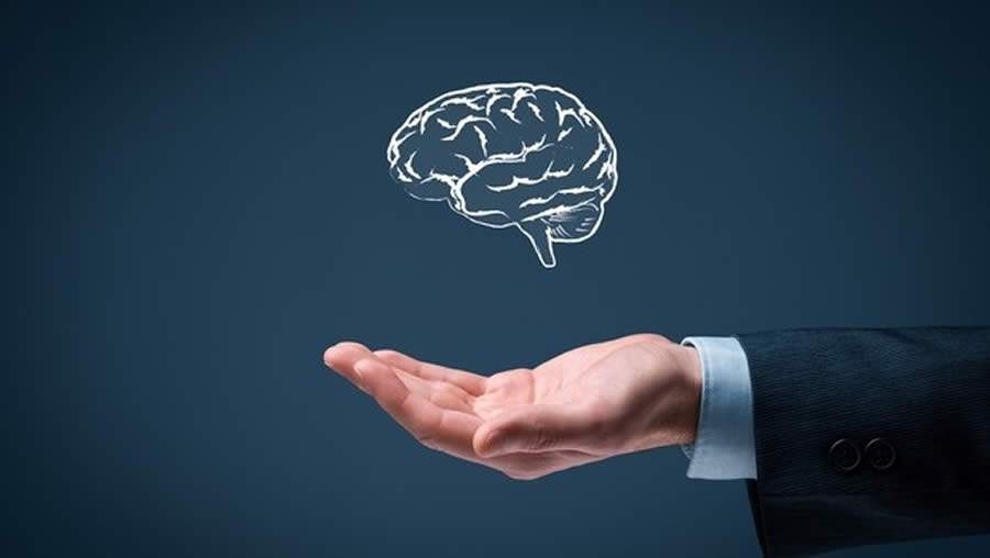 Sua Mente Acompanhou A Sua Carreira?