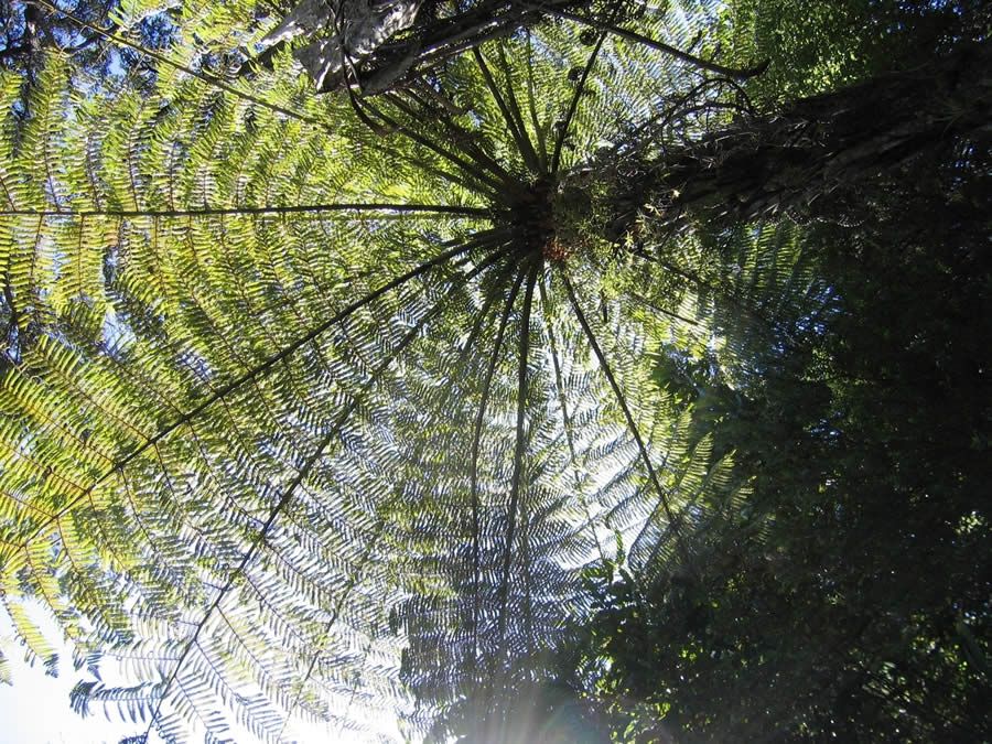 Ambiental Infra, mais um seguro da AIG