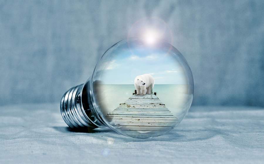  Imagem: pixabay.com_CC0 Creative Commons